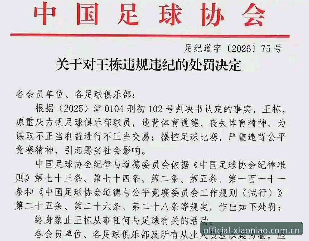中国足协第三批禁足名单全面解析：65人受罚，足球反腐进入深水区