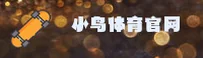 小鸟体育(中国)官方网站 | 尊享服务